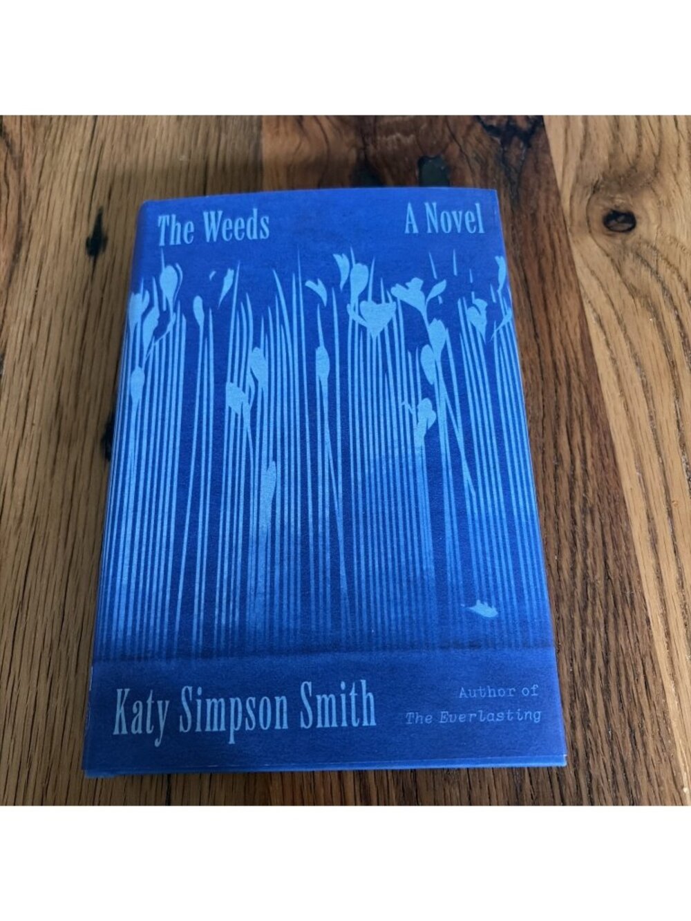 Weeds : A Novel by Katy Simpson Smith 2023, Hardcover 1st Edition New